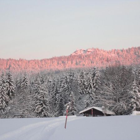Landgasthof Brandtner Wirt Langdorf  Zewnętrze zdjęcie
