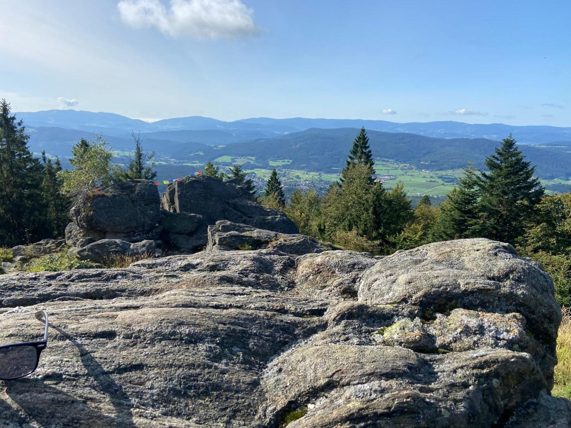 Landgasthof Brandtner Wirt Langdorf  Zewnętrze zdjęcie