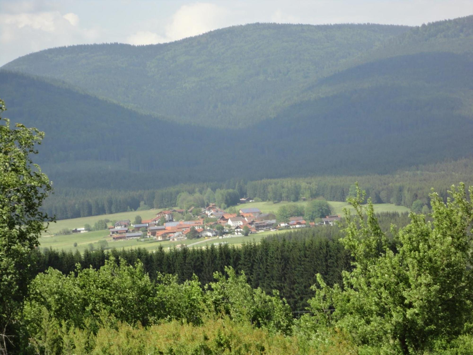 Landgasthof Brandtner Wirt Langdorf  Zewnętrze zdjęcie